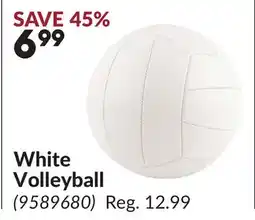 Princess Auto White Volleyball offer