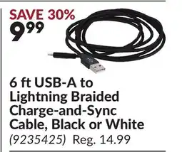 Princess Auto 6 ft USB-A to Lightning Braided Charge-and-Sync Cable, Black or White offer