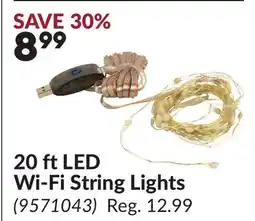 Princess Auto 20 ft LED Wi-Fi String Lights offer