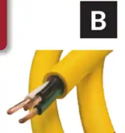 Princess Auto Electrical Power Cord, Sold by the Foot offer