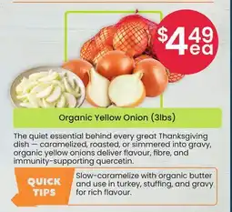 Healthy Planet Organic Yellow Onion (3lbs) offer