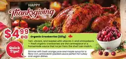 Healthy Planet Organic Cranberries (277g) offer