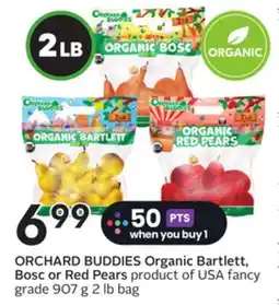 Sobeys Organic Bartlett, Bosc or Red Pears offer