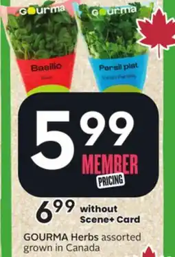 Sobeys Herbs offer