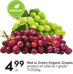 Sobeys Red or Green Organic Grapes offer