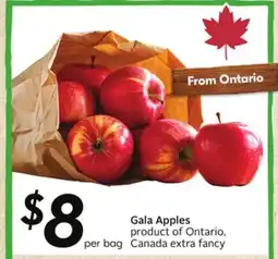 Sobeys Gala Apples - Apple Fest offer