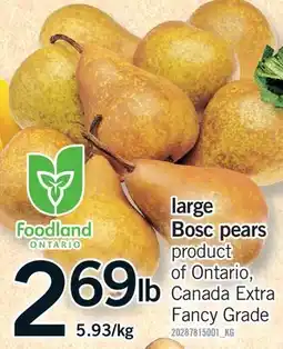 Fortinos LARGE BOSC PEARS offer