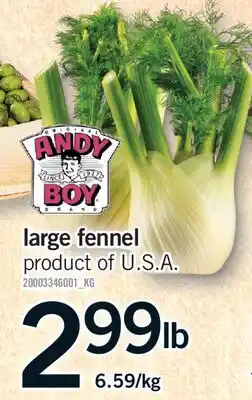 Fortinos LARGE FENNEL offer
