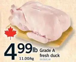 Fortinos GRADE A FRESH DUCK offer