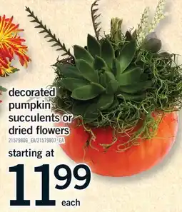 Fortinos DECORATED PUMPKIN SUCCULENTS OR DRIED FLOWERS offer