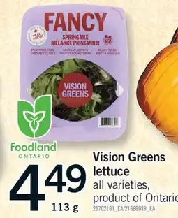 Fortinos VISION GREENS LETTUCE offer