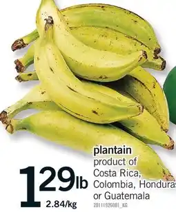 Fortinos PLANTAIN offer