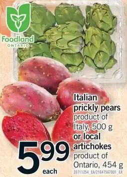 Fortinos ITALIAN PRICKLY PEARS PRODUCT OF ITALY, 500 G OR LOCAL ARTICHOKES PRODUCT OF ONTARIO, 454 G offer