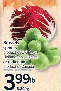 Fortinos BRUSSELS SPROUTS OR RADICCHIO offer
