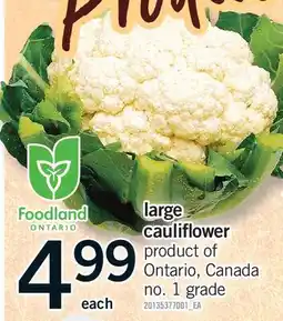 Fortinos LARGE CAULIFLOWER offer