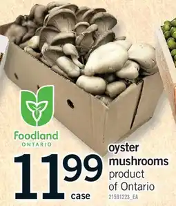 Fortinos OYSTER MUSHROOMS, CASE offer
