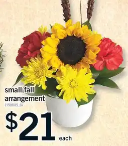 Fortinos SMALL FALL ARRANGEMENT offer
