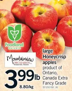 Fortinos LARGE HONEYCRISP APPLES offer