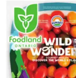 Metro WILD WONDERS TOMATOES, GREEN FRENCH BEANS offer