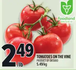Metro TOMATOES ON THE VINE offer
