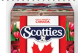 Metro CASHMERE BATHROOM TISSUE, SPONGE PAPER TOWEL OR SCOTTIES FACIAL TISSUE offer