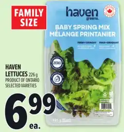 Metro HAVEN LETTUCES offer