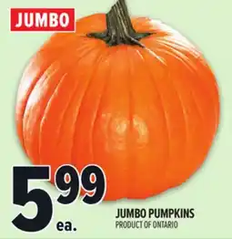 Metro JUMBO PUMPKINS offer