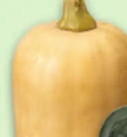 Metro ACORN, BUTTERNUT, BUTTERCUP OR SPAGHETTI SQUASH offer
