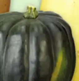 Metro ACORN, BUTTERNUT, BUTTERCUP OR SPAGHETTI SQUASH offer