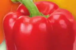 Metro WANNABEEZ SWEET COLOURED PEPPERS offer