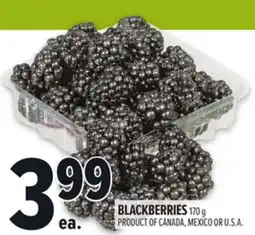 Metro BLACKBERRIES offer