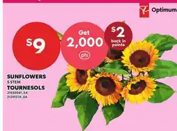 Independent City Market SUNFLOWERS, 5 STEM offer