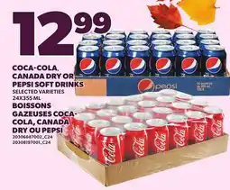 Independent City Market COCA-COLA, CANADA DRY OR PEPSI SOFT DRINKS offer