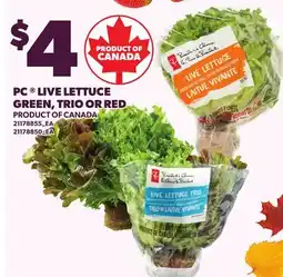 Loblaws PC LIVE LETTUCE GREEN, TRIO OR RED offer