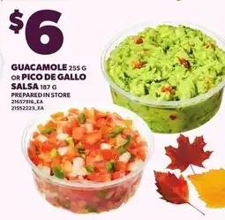 Loblaws GUACAMOLE, 255 G OR PICO DE GALLO SALSA, 187 G offer