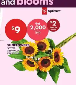Loblaws SUNFLOWERS, 5 STEM offer