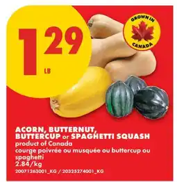 No Frills ACORN, BUTTERNUT, BUTTERCUP OR SPAGHETTI SQUASH offer