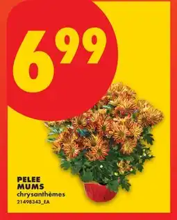 No Frills PELEE MUMS offer