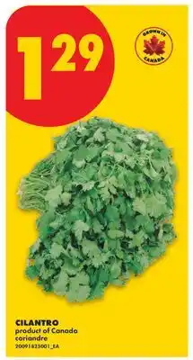 No Frills CILANTRO offer
