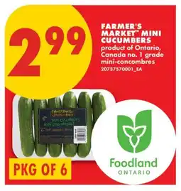 No Frills FARMER'S MARKET MINI CUCUMBERS, PKG OF 6 offer