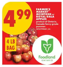 No Frills FARMER'S MARKET MCINTOSH or ROYAL GALA APPLES, 4 LB BAG offer