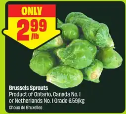 FreshCo Brussels Sprouts Product of Ontario, Canada No. 1 or Netherlands No. 1 Grade 6.59/kg offer