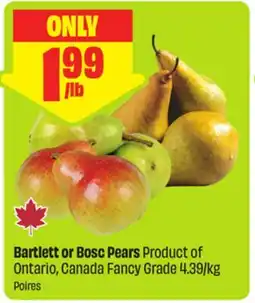 FreshCo Bartlett or Bosc Pears Product of Ontario, Canada Fancy Grade 4.39/kg offer