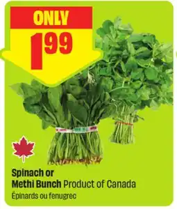 FreshCo Spinach or Methi Bunch Product of Canada offer