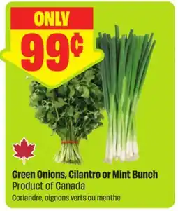 FreshCo Green Onions, Cilantro or Mint Bunch Product of Canada offer