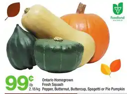 Highland Farms Ontario Homegrown Fresh Squash offer