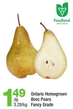 Highland Farms Ontario Homegrown Bosc Pears offer