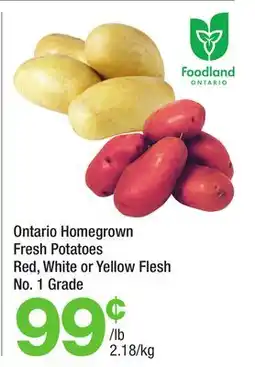 Highland Farms Ontario Homegrown Fresh Potatoes offer