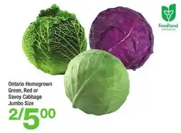Highland Farms Ontario Homegrown Green, Red or Savoy Cabbage offer