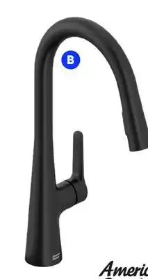 RONA American Standard Calusa pull-down kitchen faucet offer